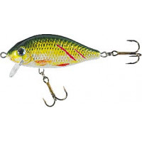 Воблер HS Jaxon Karas SW 10g 0.2-0.7m Плавающий KRX 7cm