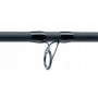 Удилише Jaxon TENESA CATFISH MAX 2,70 UP TO 450G