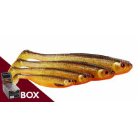 Westin ShadTeez Slim box 12cm