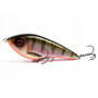 Swim 15cm SP