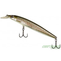 Воблер Adusta RSJ-100A Jerk Bait #007 Pike