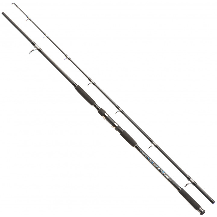 Удилише Jaxon TENESA CATFISH 2,70 UP TO 550G