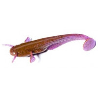 Силікон FishUp Catfish 2