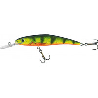 Jaxon HS Stynka 11
