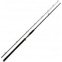 W3 Powercast-T 2nd 8'3"/248cm XH 20-80g