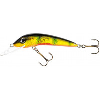 Jaxon HS Ferox 8