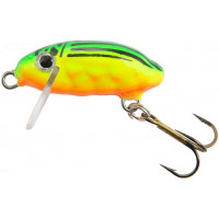 Jaxon HS May Bug 3