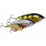 Swim 15cm SP