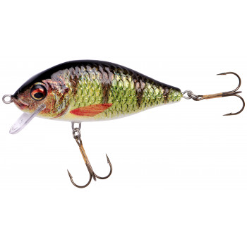 Воблер Jaxon HS Karas Nature 3D 9cm 17g F #OH