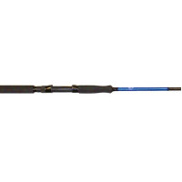 Golden Catch Passion Power 2.70m 40-125g