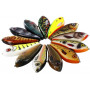 Swim 15cm SP