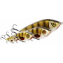 Swim 15cm SP