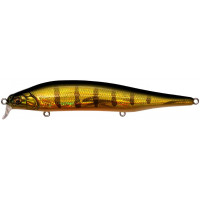 Воблер Megabass ITO SHINER SSR GG PERCH