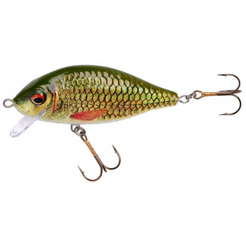 Воблер Jaxon HS Karas Nature 3D 7cm 13g F #PC