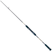 Спінінг Ever Green Poseidon Spin Jerker Light PSPJ 603L 1.91m 60-150g
