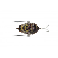 Воблер Jackall Kana Kana 37mm 4g RT Clear Spring Cicada