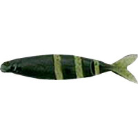 Силикон Imakatsu Javallon 110 S-15 Watermelon Pepper