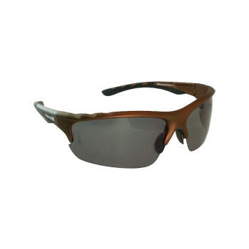 Очки Fishing ROI в чехле 5900 PH-Grey Photochromic