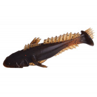 Виброхвост FLAGMAN Bullfish 2.5