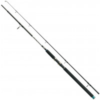 Спиннинг Jaxon SILVER SHADOW PILK 2.40m 100-200g