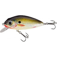 Воблер Jaxon Holo Select Limited Edition Tingo 12g 1.0-1.6m Плаваючі DB 7cm