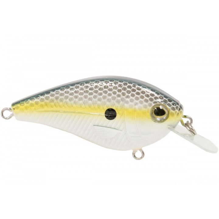 Воблер Livingston Lures FlatMaster SQ 11g 0.8-1.2m Плаваючі 03 Sxee Shad 58mm