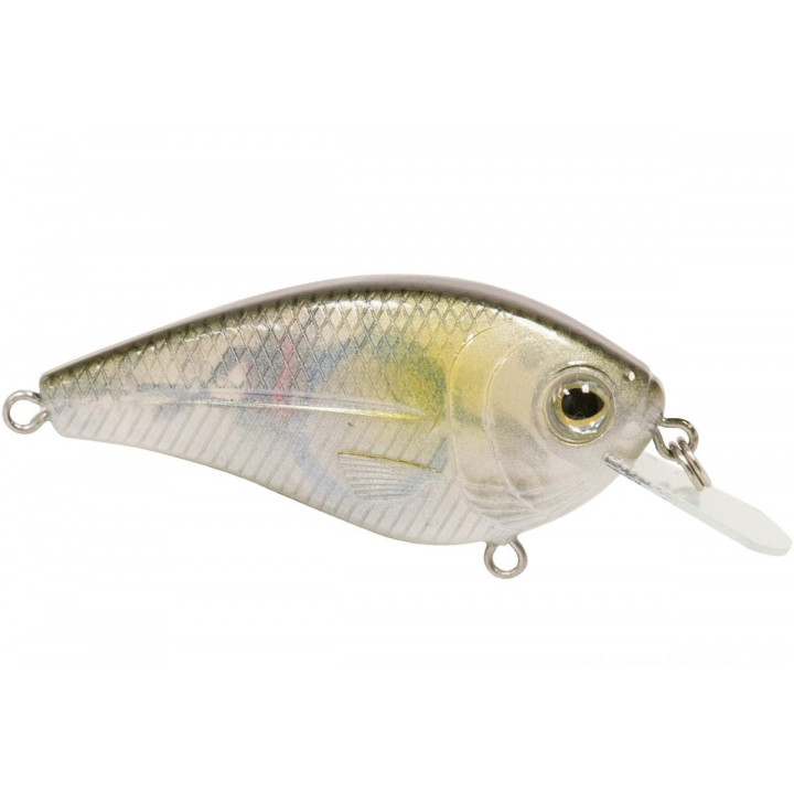 Воблер Livingston Lures FlatMaster SQ 11g 0.8-1.2m Плаваючі 19 AYU 58mm