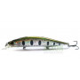 Воблер Duo ​​REALIS JerkBait 120SP 18g 120мм 1.5-2.0м N34