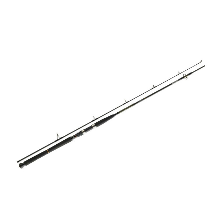 Морське вудлище Daiwa BG Pilk 2.4m 50-150g