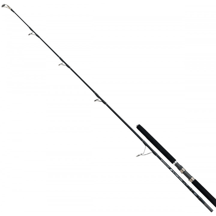 Спінінг Shimano Speedcast Kaibutsu 2.28m max 120g