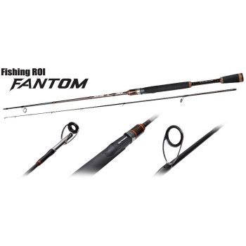Спінінг Fishing ROI Fantom 2.04m 8-30