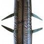 Сумка для взвешивания и удержания рыбы World4Carp Floating Weigh Sling